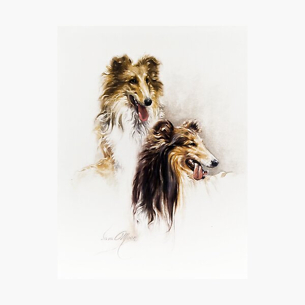 Photographic Print