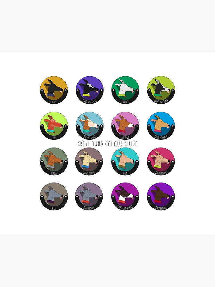 Greyhound Colour Guide by Muzbot