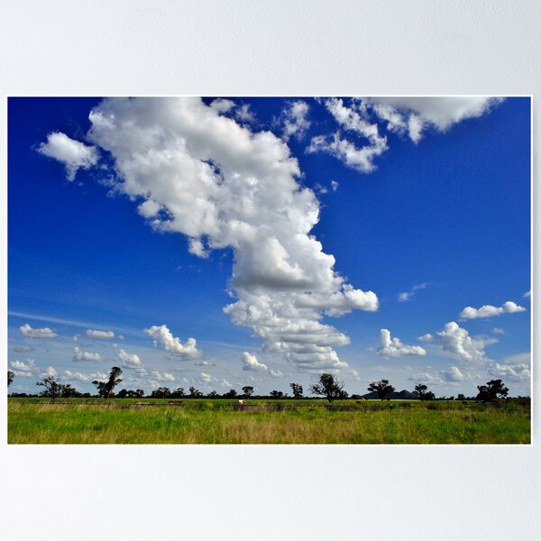 Item preview, Drifting Cloud designed and sold by Terry Everson.
