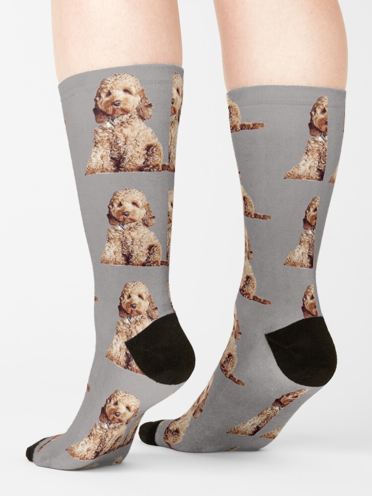 "Cavoodle Labradoodle Cockapoo Mini Poodle x Cute Puppy Dog" Socks by