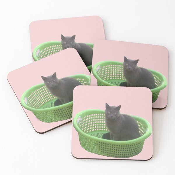 Aperçu de l'œuvre Chat dans le panier créée et vendue par janewwu.