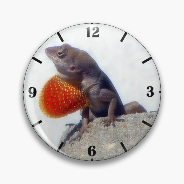 Item preview, Anole Lizard Displays Dewlap designed and sold by kristalcurt.