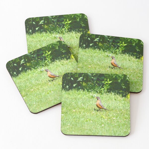 Item preview, Robin 5 designed and sold by Nature's Reflections.