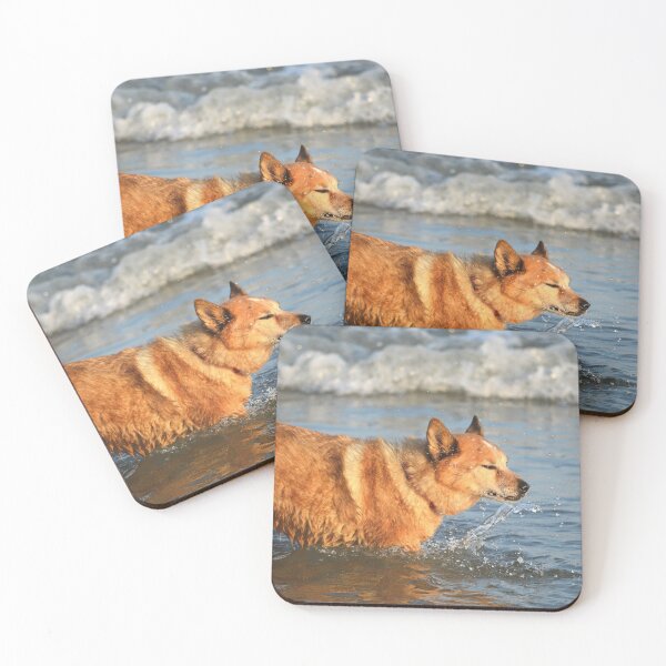 Item preview, Beach Dog designed and sold by Nature's Reflections.