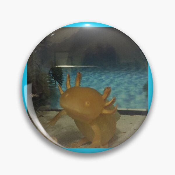 Item preview, Lemon/Golden Axolotl Photo by Charlie aka Snail Galaxy designed and sold by snail-galaxy.