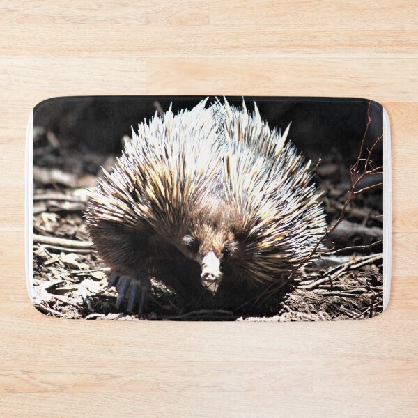 Item preview, Echidna designed and sold by Linda  Hammond.