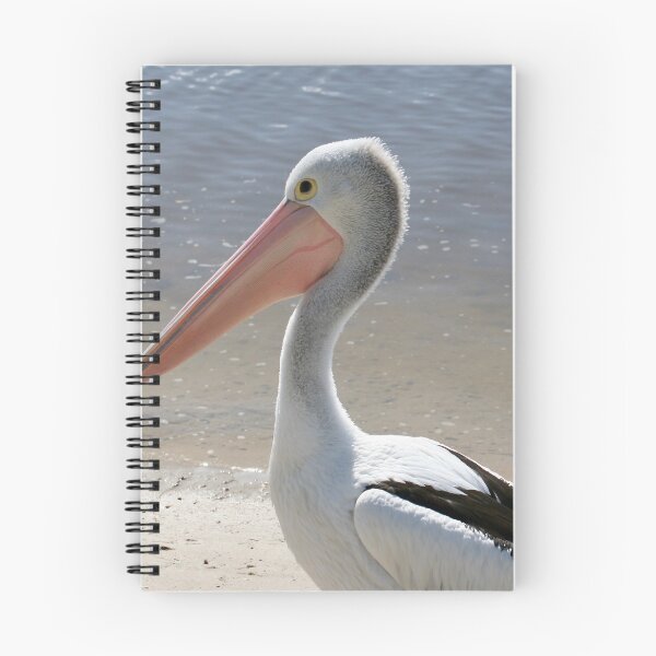 Item preview, Pelican portrait designed and sold by Robyn Williams.