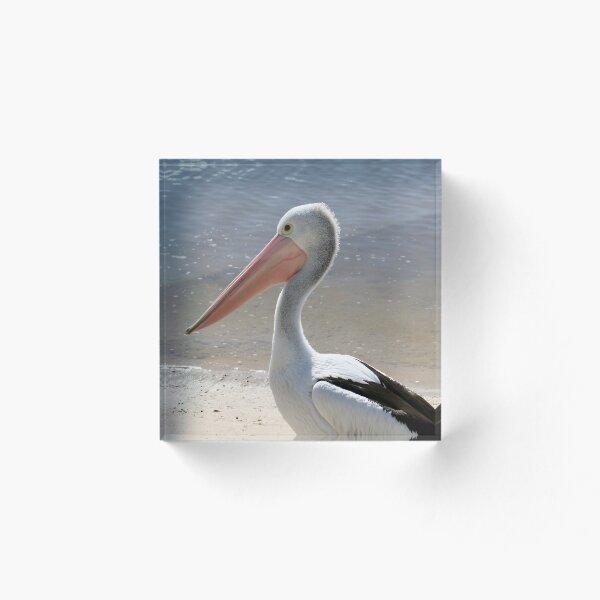 Item preview, Pelican portrait designed and sold by Robyn Williams.