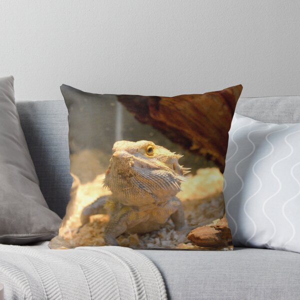 Item preview, Cute Beardie designed and sold by Nature's Reflections.