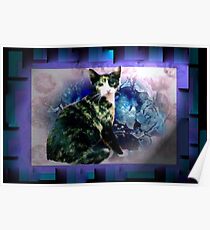 Tortoise shell cat by blue flowers Poster