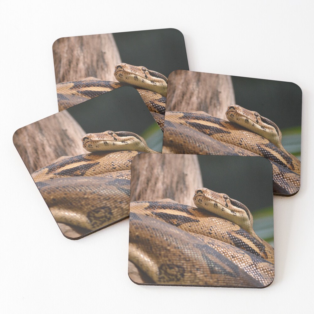 Item preview, Coasters (Set of 4) designed and sold by KylaStanAuthor.