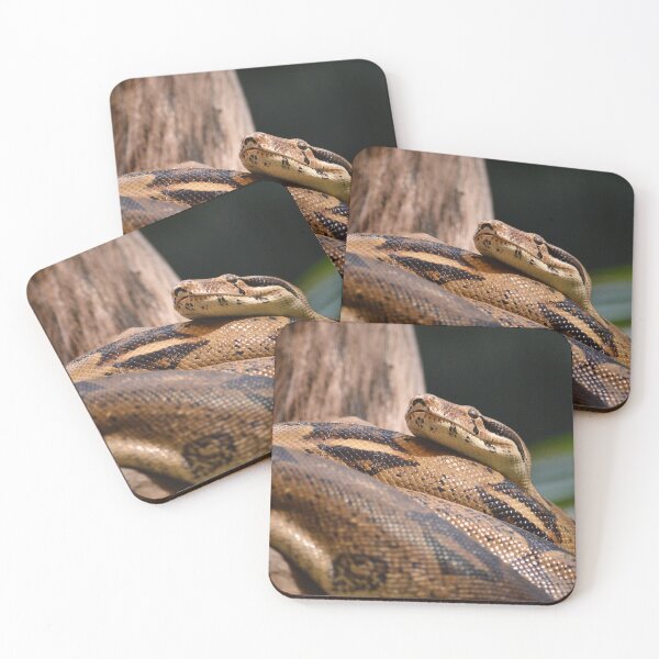 Item preview, Burmese Python II designed and sold by Nature's Reflections.