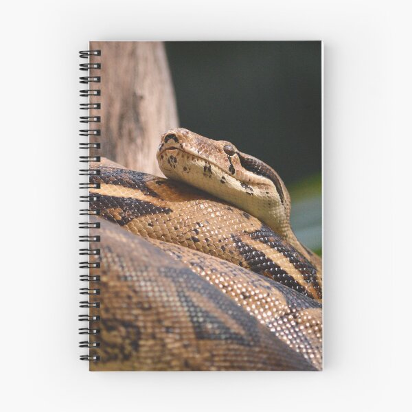 Item preview, Burmese Python II designed and sold by Nature's Reflections.