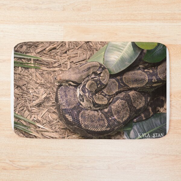 Item preview, Columbian Red Tail Boa designed and sold by Nature's Reflections.