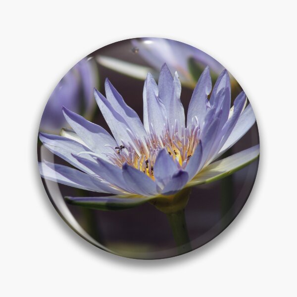 Item preview, © Busy bees....  designed and sold by GeoPipics.