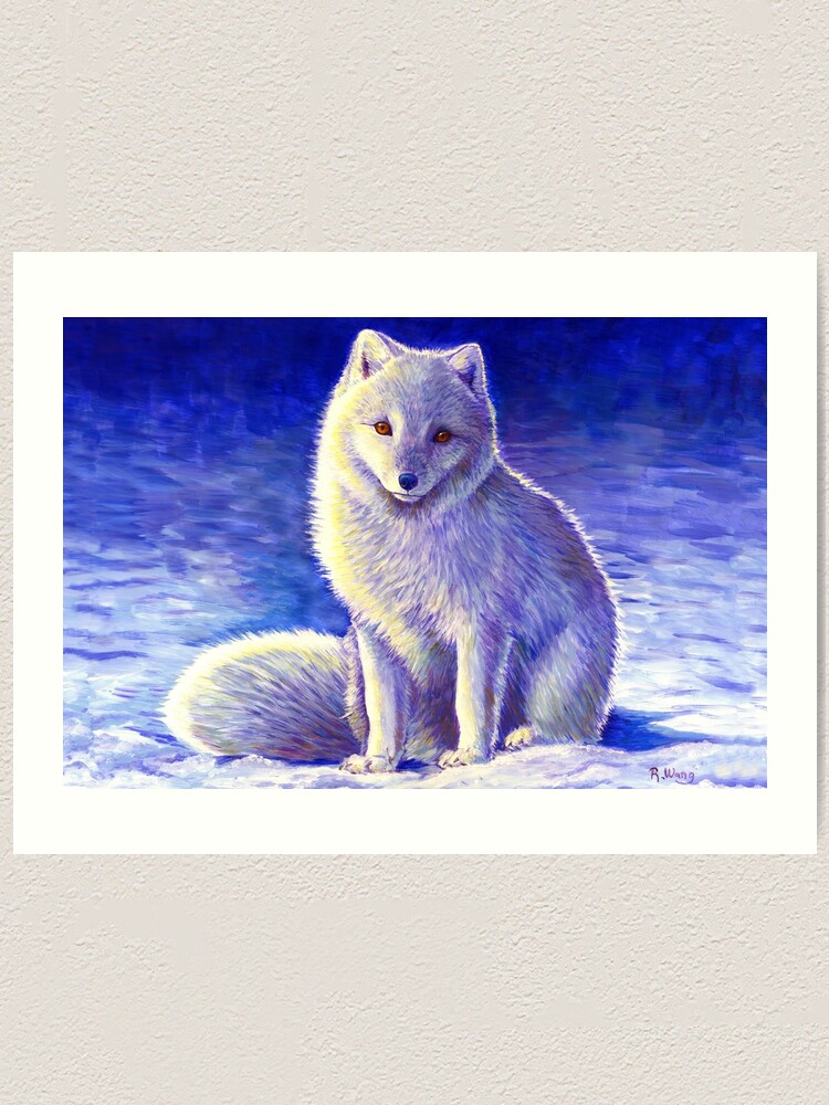 Le renard arctique en hiver 