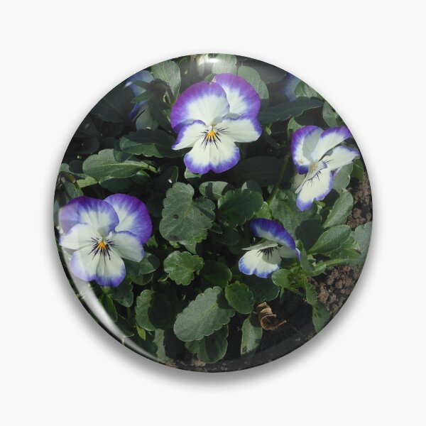 Artikelvorschau, Little Darlings - Pansy Trio entworfen und verkauft von SunriseRose.