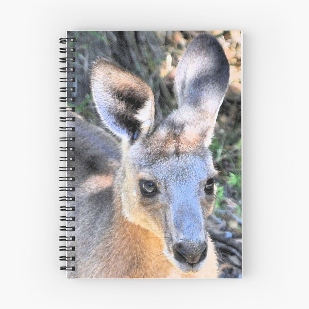 Item preview, Spiral Notebook designed and sold by sagram45.