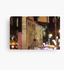Pedestrians Canvas Print