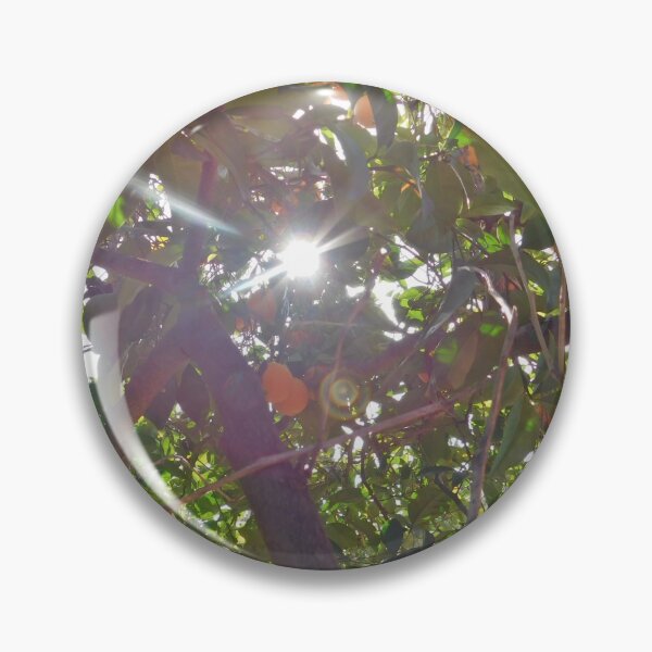 Item preview, Sunlight on Citrus  designed and sold by samanthaeva2.