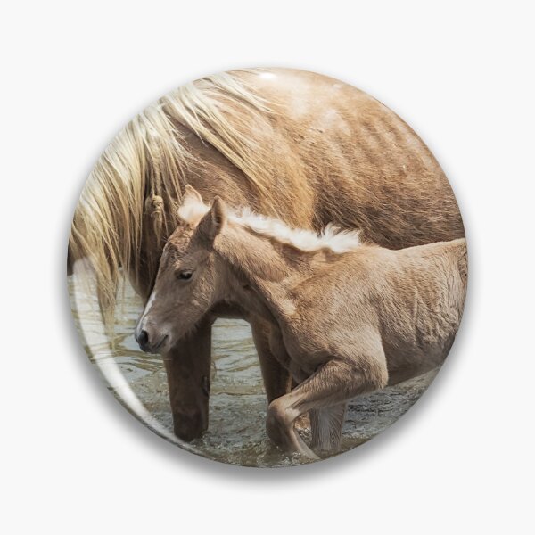 Item preview, Safe By Mother's Side - South Steens Mustangs designed and sold by Belinda Greb Photography.