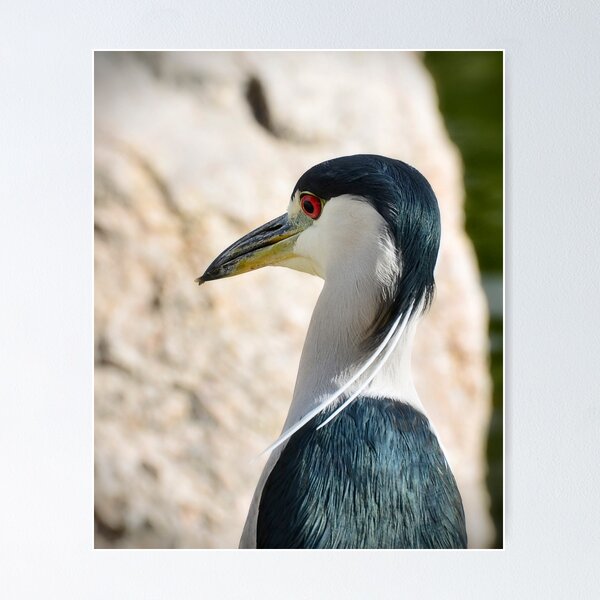 Item preview, Just Over My Shoulder  designed and sold by Saija  Lehtonen.