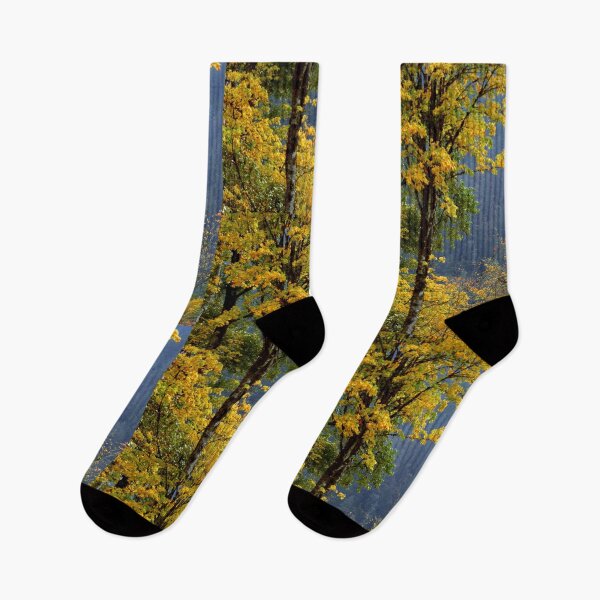 Item preview, AUTUMN IN THE OLYMPICS designed and sold by Elaine Bawden.