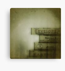 developer Canvas Print