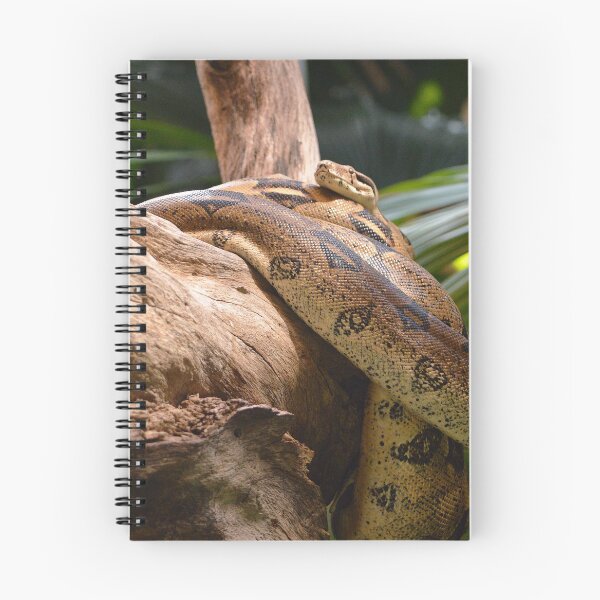 Item preview, Burmese Python I designed and sold by Nature's Reflections.