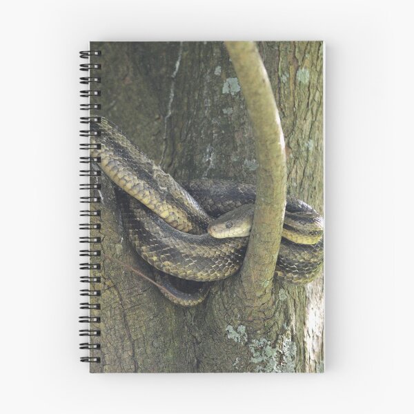 Item preview, Garter Snake designed and sold by Nature's Reflections.