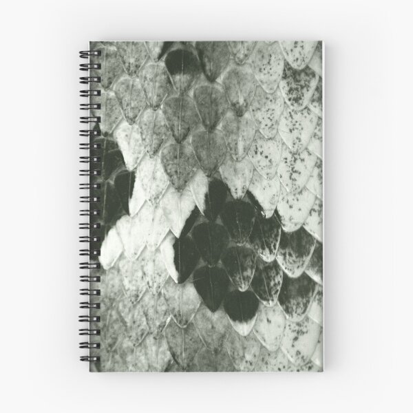 Item preview, Scales designed and sold by Nature's Reflections.