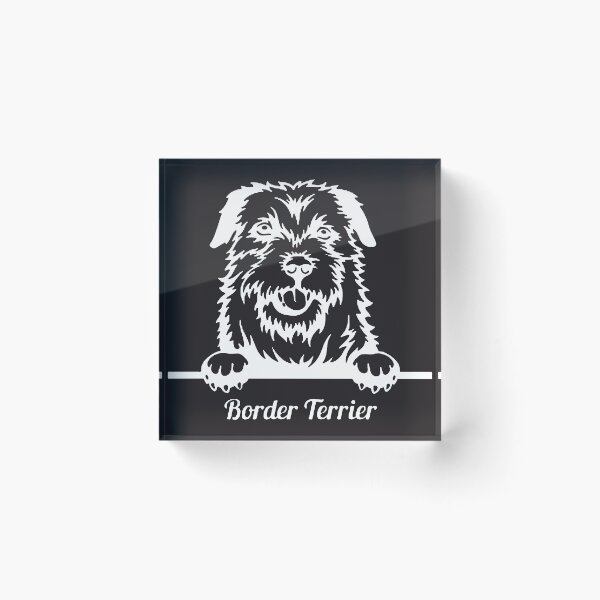 Item preview, Border Terrier White Illustration designed and sold by SalahBlt.