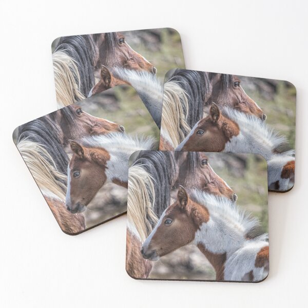 Item preview, Beautiful Pinto Foal designed and sold by Belinda Greb Photography.