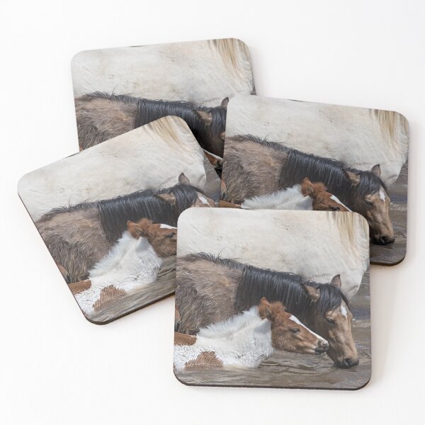 Item preview, Pinto Foal Enjoying a Dip - South Steens Mustangs designed and sold by Belinda Greb Photography.