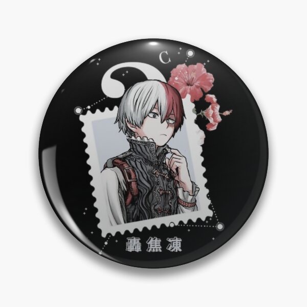 Shoto Todoroki Chapa