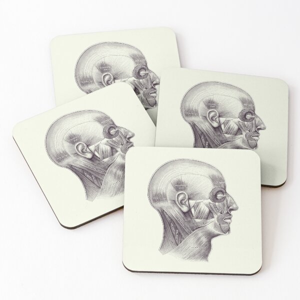 Item preview, Muscular System Surrounding Brain - Anatomy Diagram 2 designed and sold by VAposters.