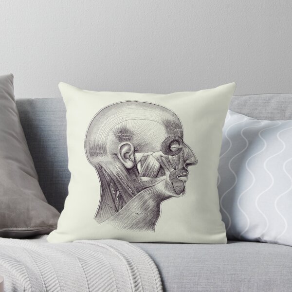 Item preview, Muscular System Surrounding Brain - Anatomy Diagram 2 designed and sold by VAposters.