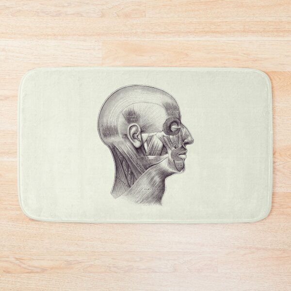 Item preview, Muscular System Surrounding Brain - Anatomy Diagram 2 designed and sold by VAposters.
