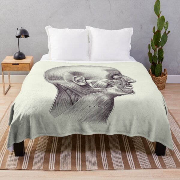 Item preview, Muscular System Surrounding Brain - Anatomy Diagram 2 designed and sold by VAposters.