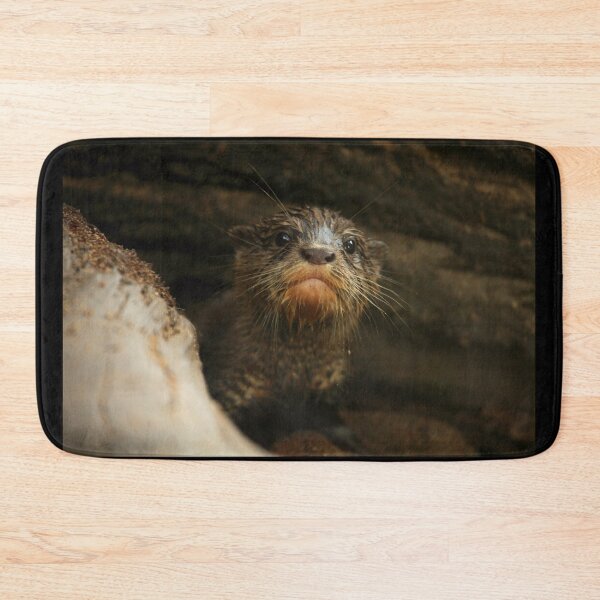 Item preview, Baby Otter III designed and sold by TVD-Photography.