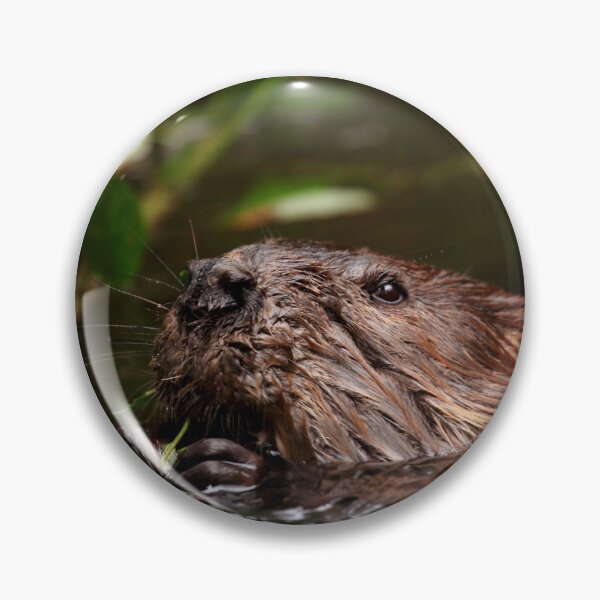 Item preview, Beaver Portrait designed and sold by Daniela Pintimalli.