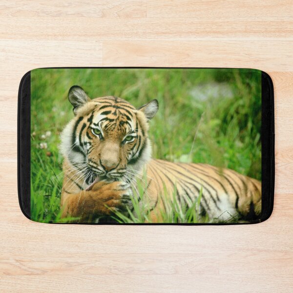 Item preview, Seductive Tigress designed and sold by Daniela Pintimalli.