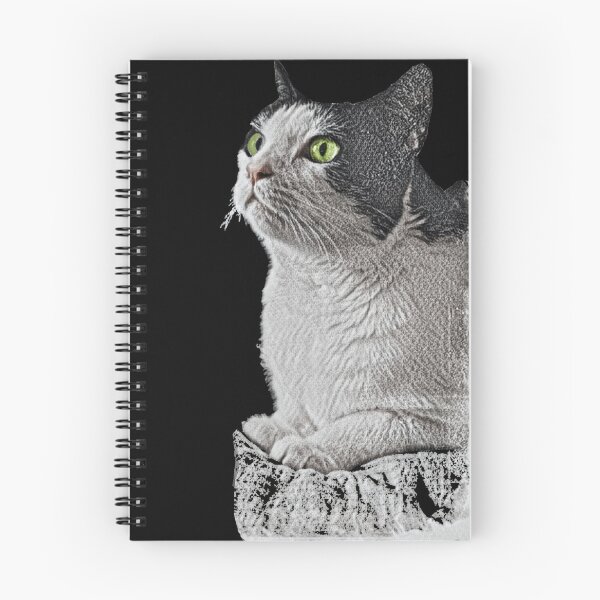 Item preview, White and black Cat, sitting  designed and sold by NJartbyNJacobson.