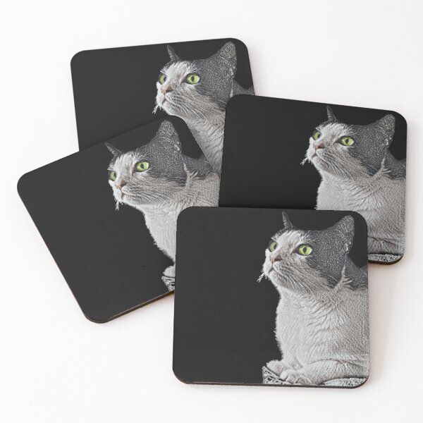 Item preview, White and black Cat, sitting  designed and sold by NJartbyNJacobson.