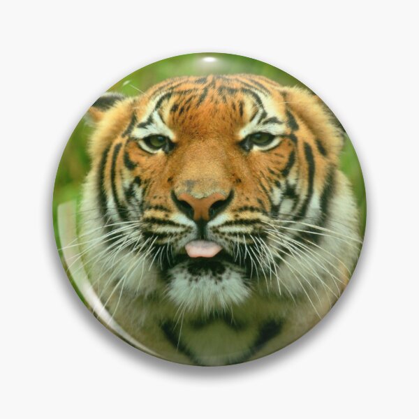Item preview, Tiger: Raspberry designed and sold by TVD-Photography.