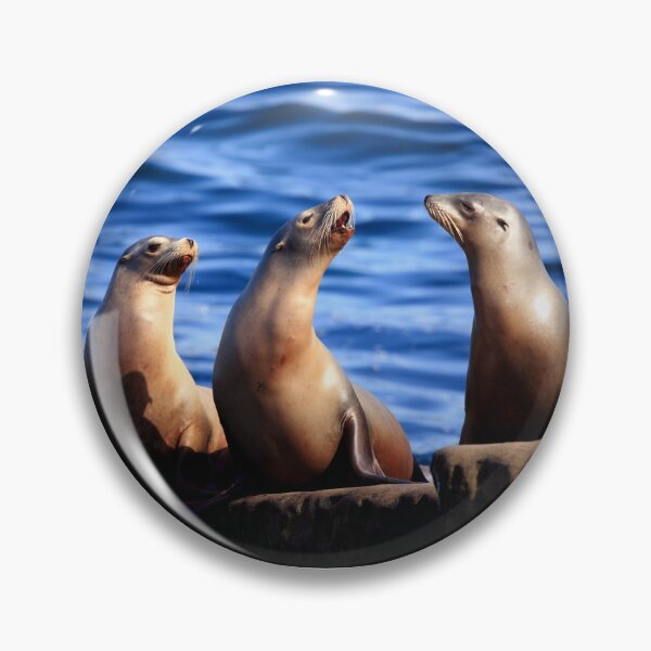 Item preview, Sealion Trio designed and sold by TVD-Photography.