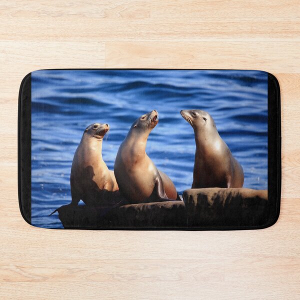 Item preview, Sealion Trio designed and sold by TVD-Photography.