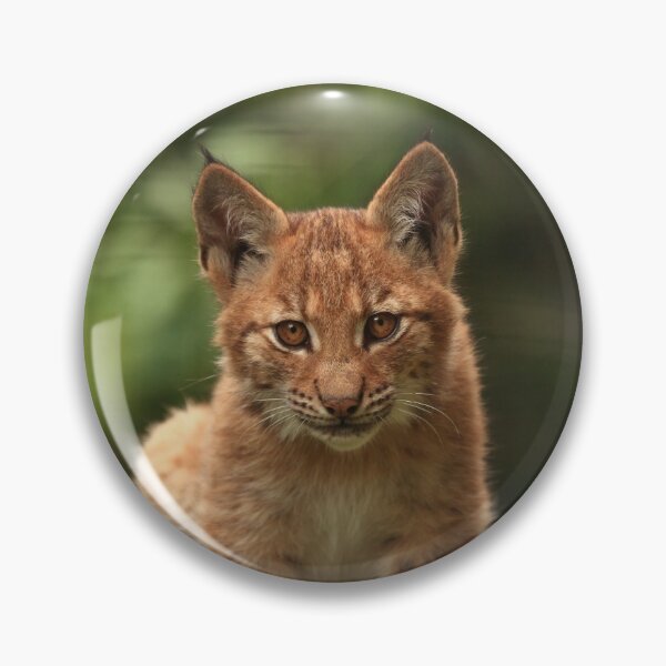 Item preview, Baby Lynx II designed and sold by TVD-Photography.