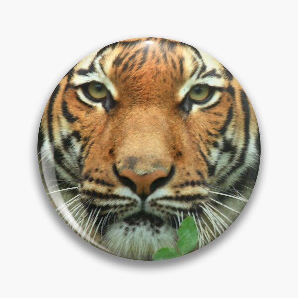 Item preview, Stalking Tigress designed and sold by TVD-Photography.