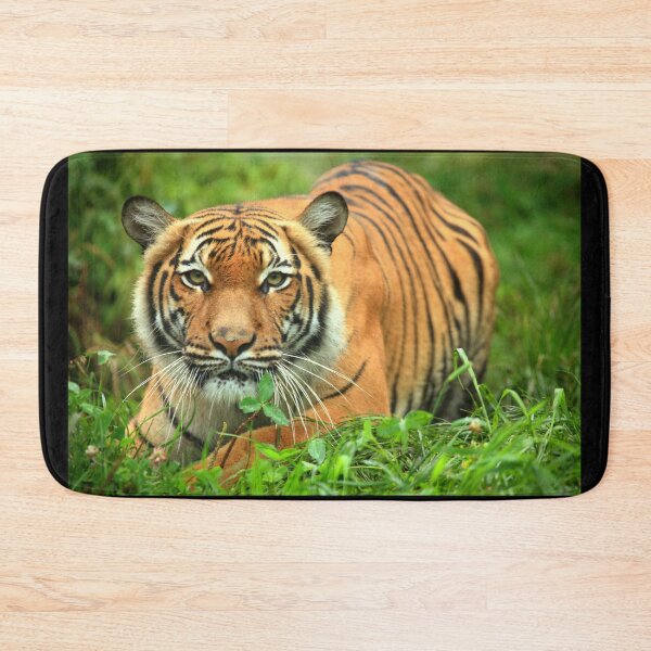 Item preview, Stalking Tigress designed and sold by TVD-Photography.